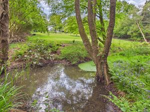 Pond- click for photo gallery